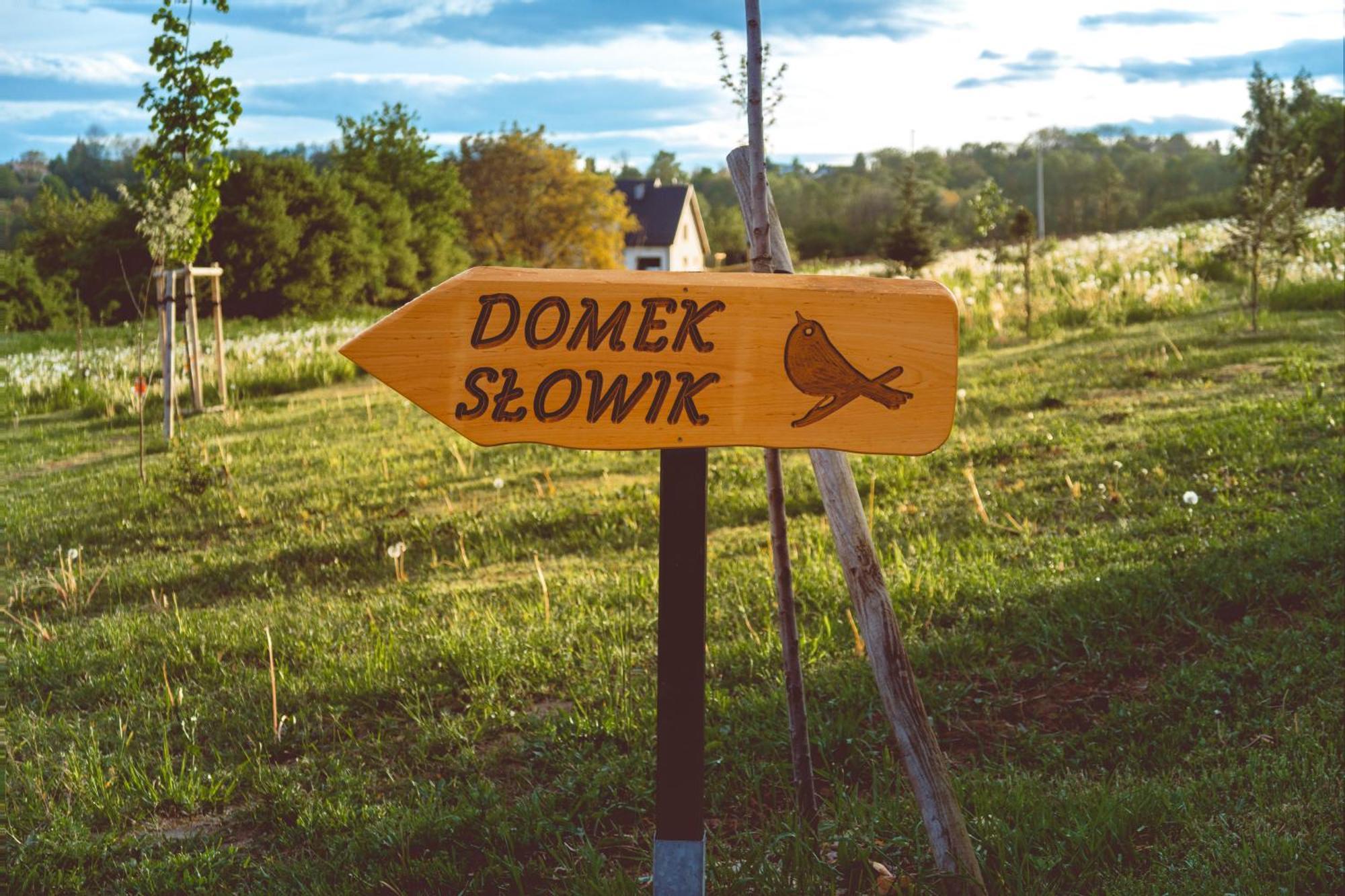 Domki Na Gorniej Lace - Domek Slowik Lazany Ngoại thất bức ảnh